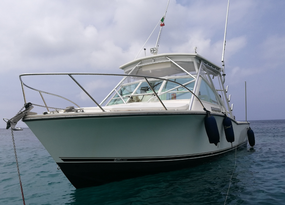 <<< VENDUTO >>> Carolina 28 + 2x 315Hp Yanmar Diesel - 2008<br><a href=dettaglio.aspx?Id=371 >VAI ALLA SCHEDA</a>